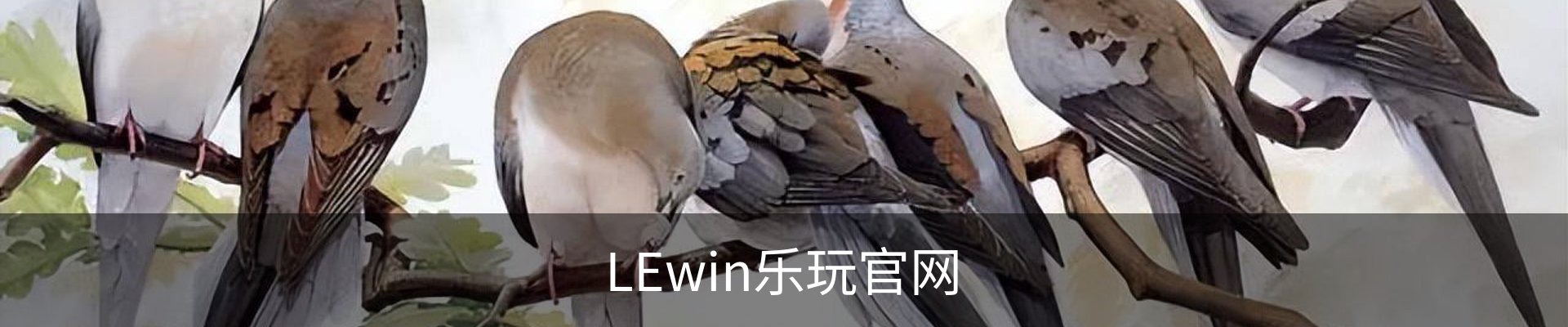 LEwin乐玩官网